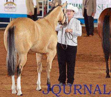 Too Chilly to Streak