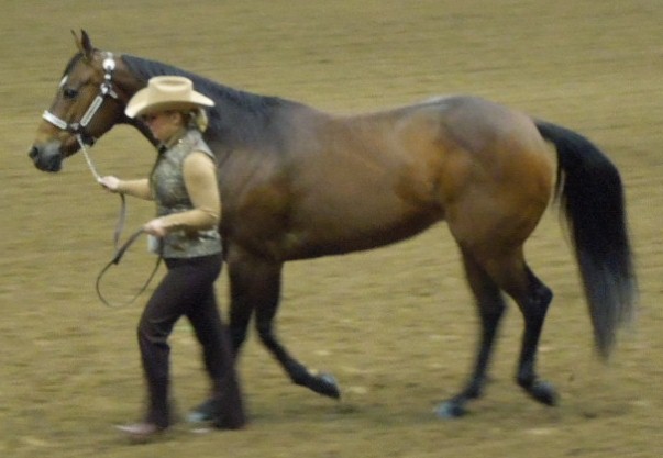 Royal Classic Express